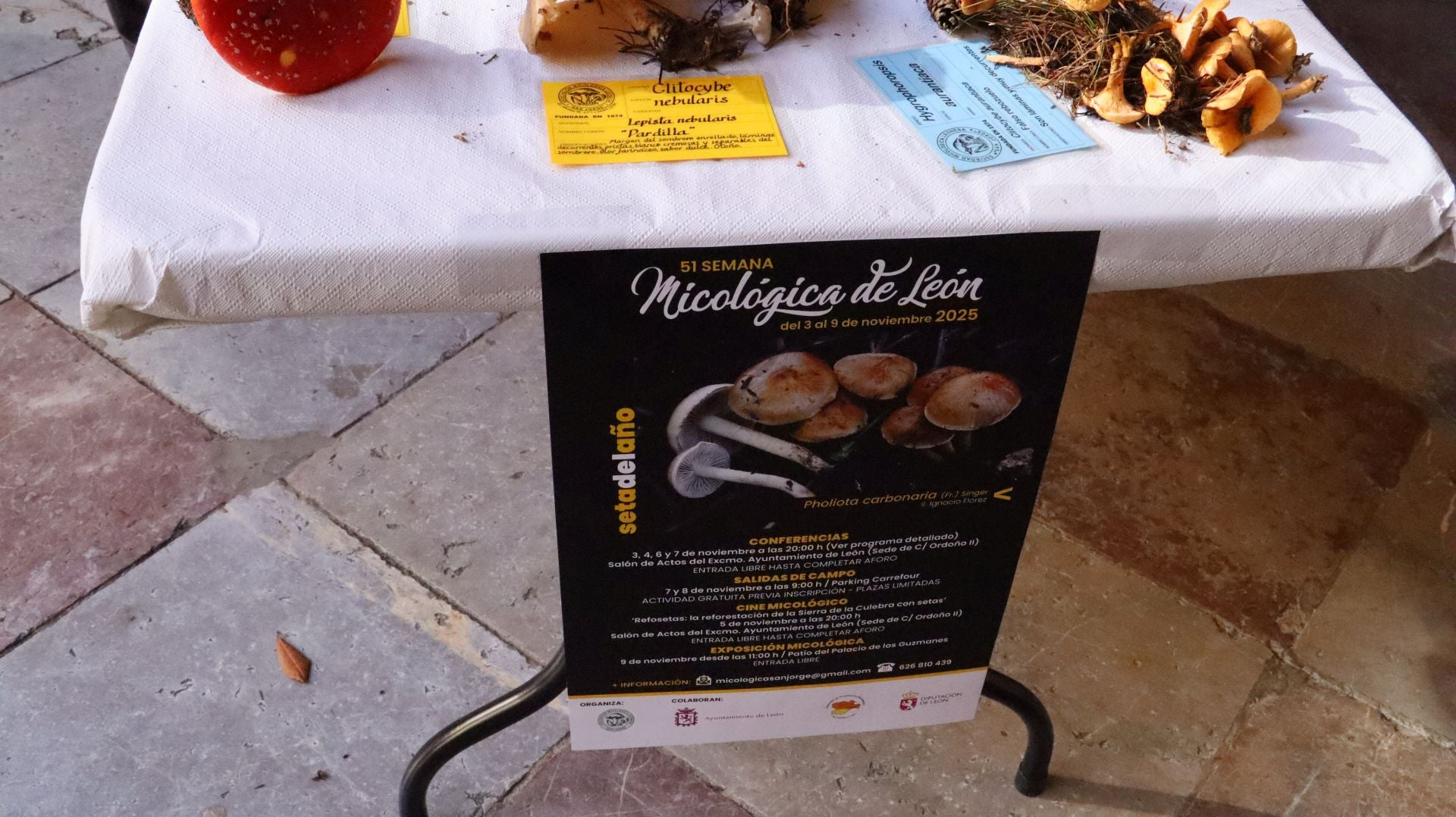 Imágenes de la Exposición Micológica de León