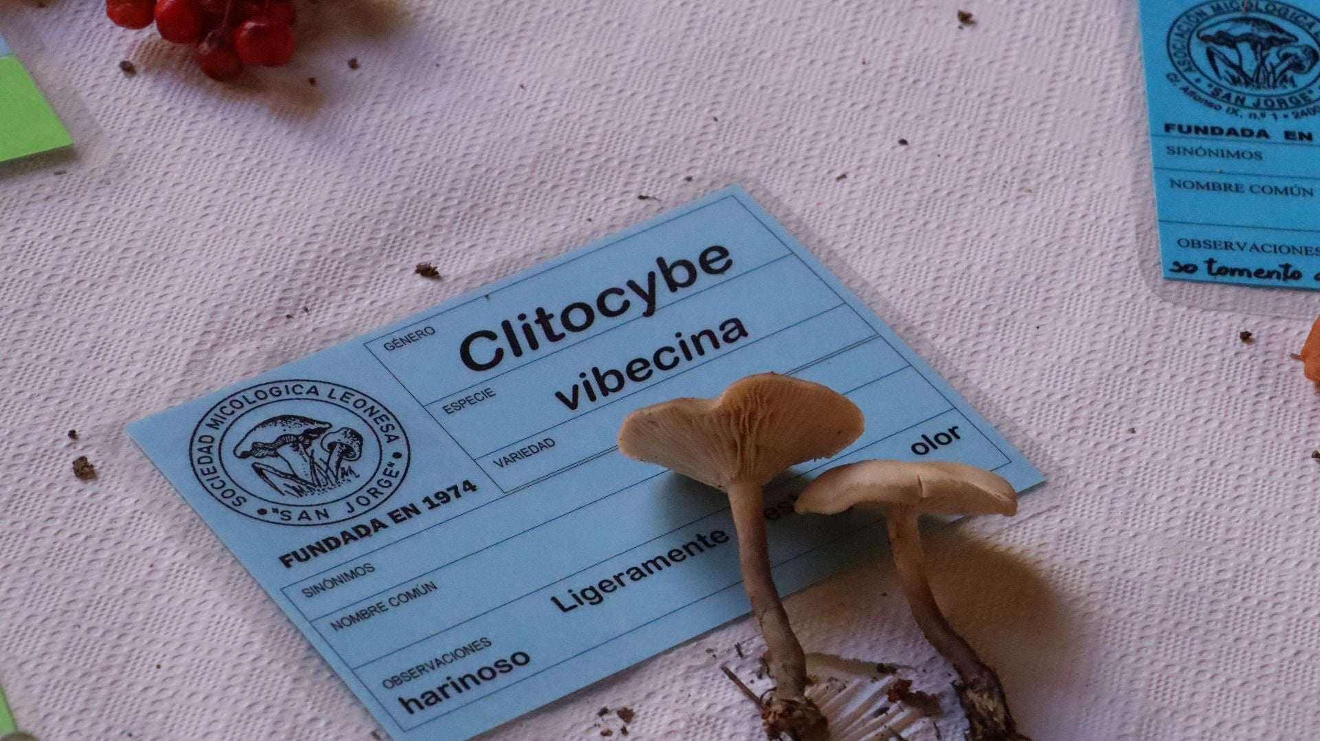 Imágenes de la Exposición Micológica de León