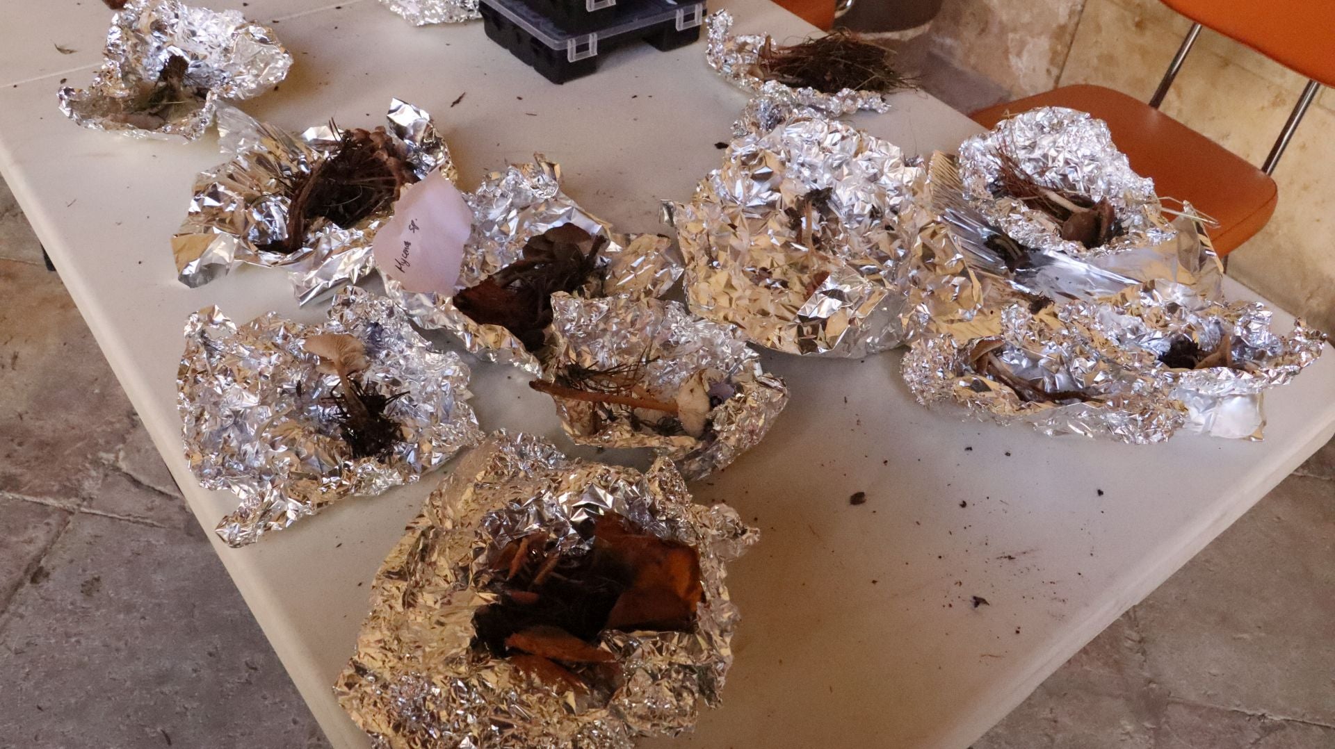 Imágenes de la Exposición Micológica de León