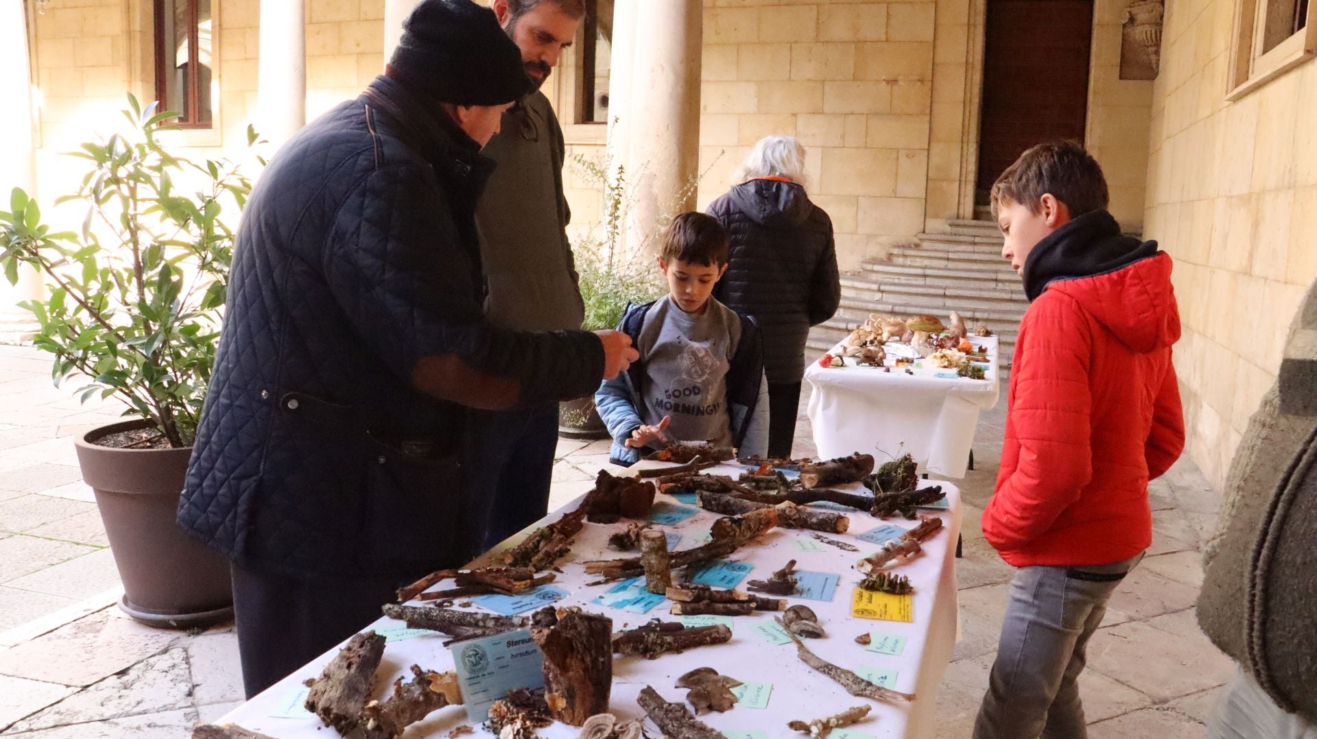 Imágenes de la Exposición Micológica de León