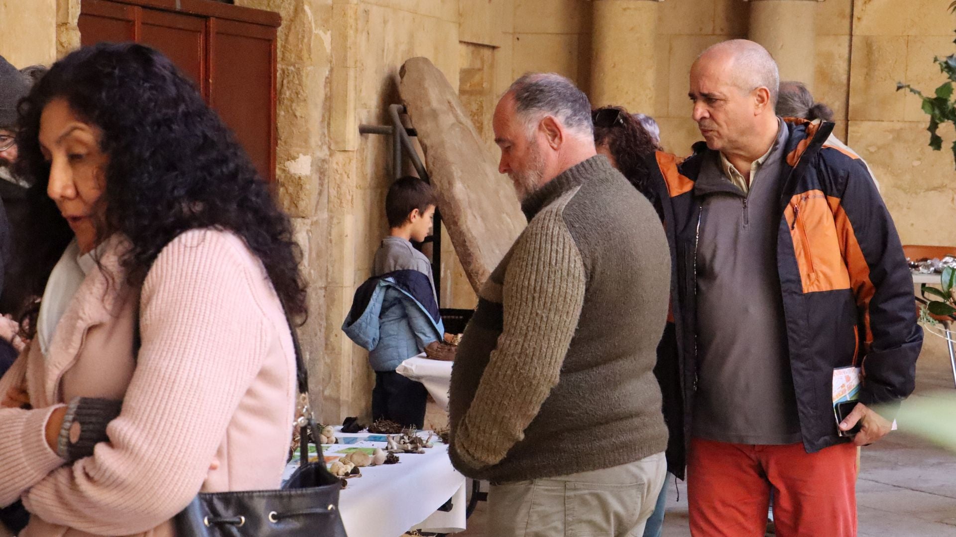 Imágenes de la Exposición Micológica de León