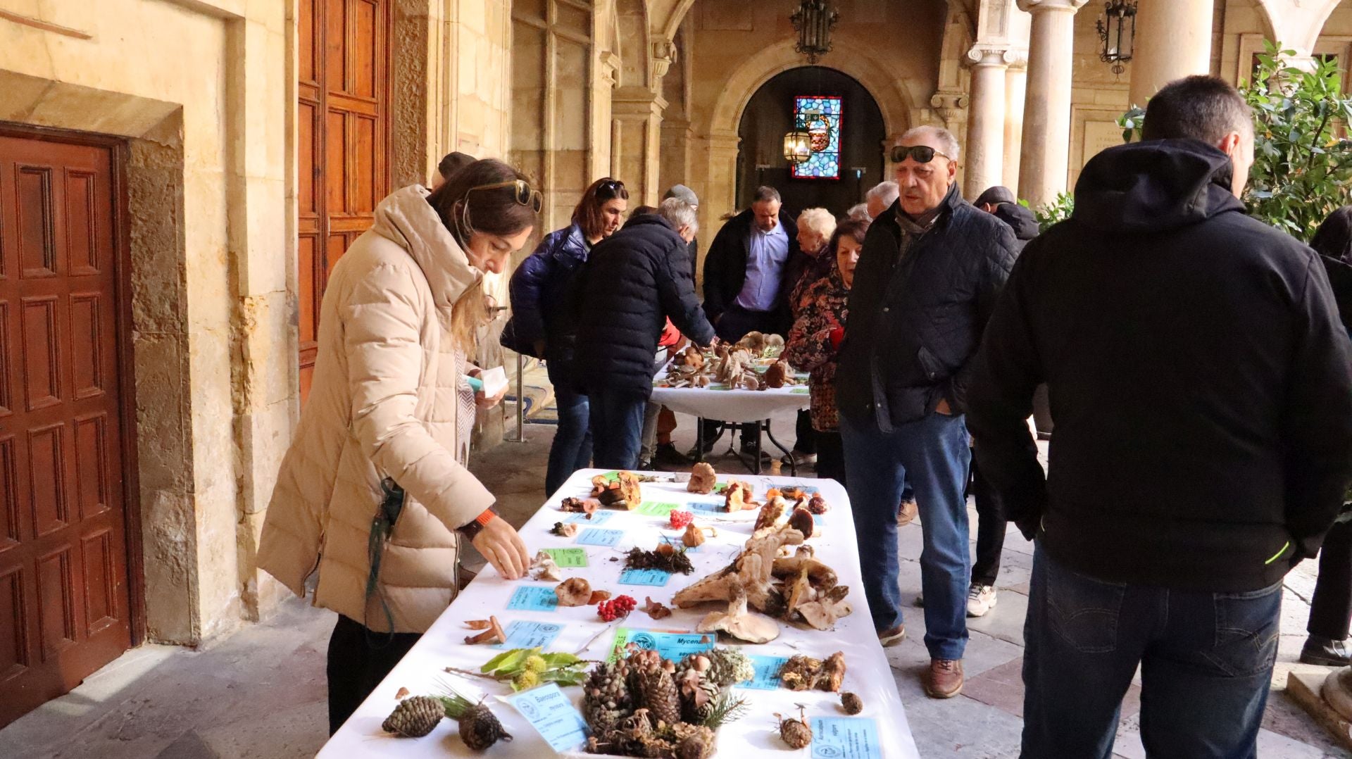 Imágenes de la Exposición Micológica de León