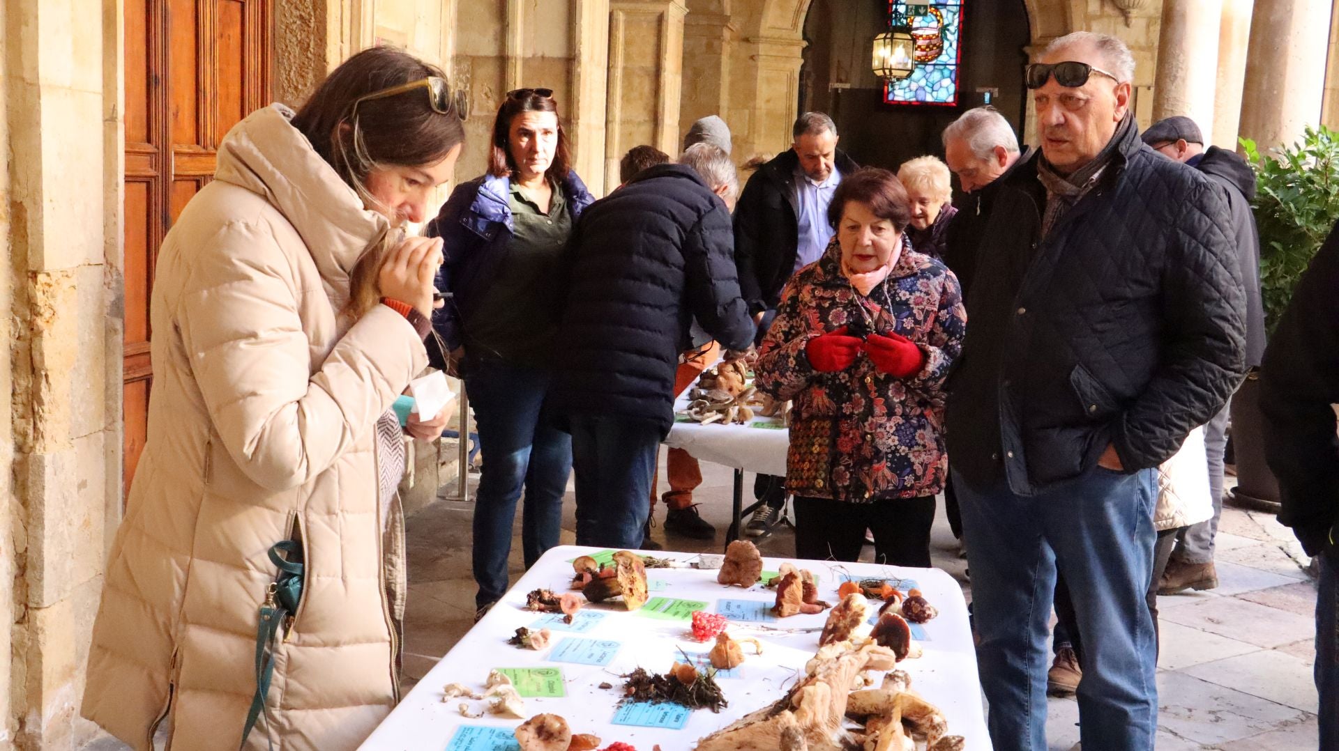 Imágenes de la Exposición Micológica de León