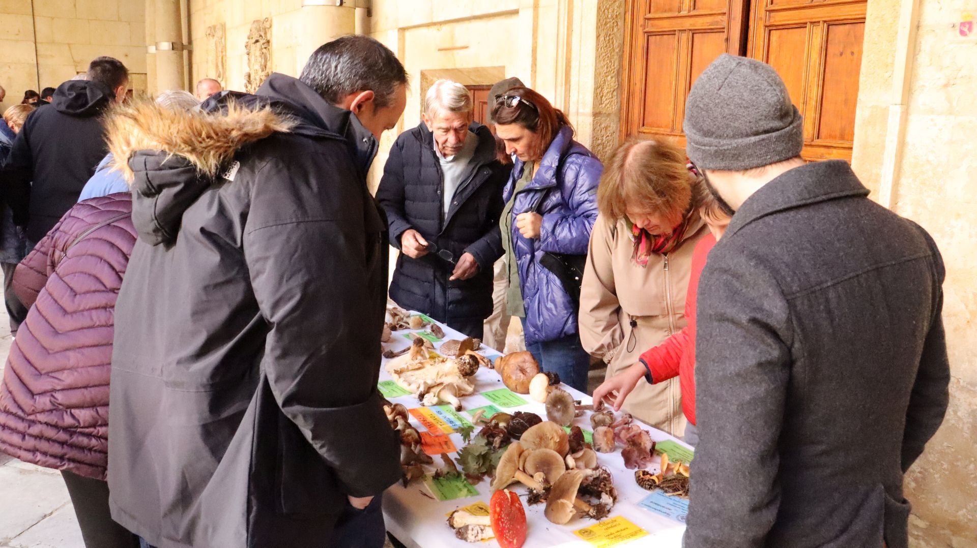 Imágenes de la Exposición Micológica de León