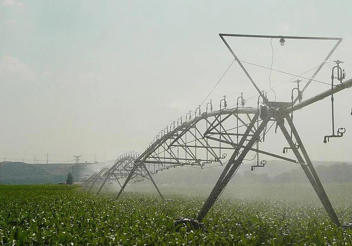 Imagen de archivo de un campo de riego.