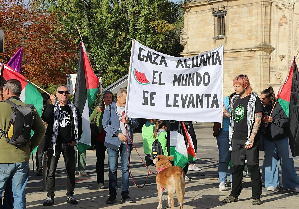 Imagen de una manifestación por Palestina en León.