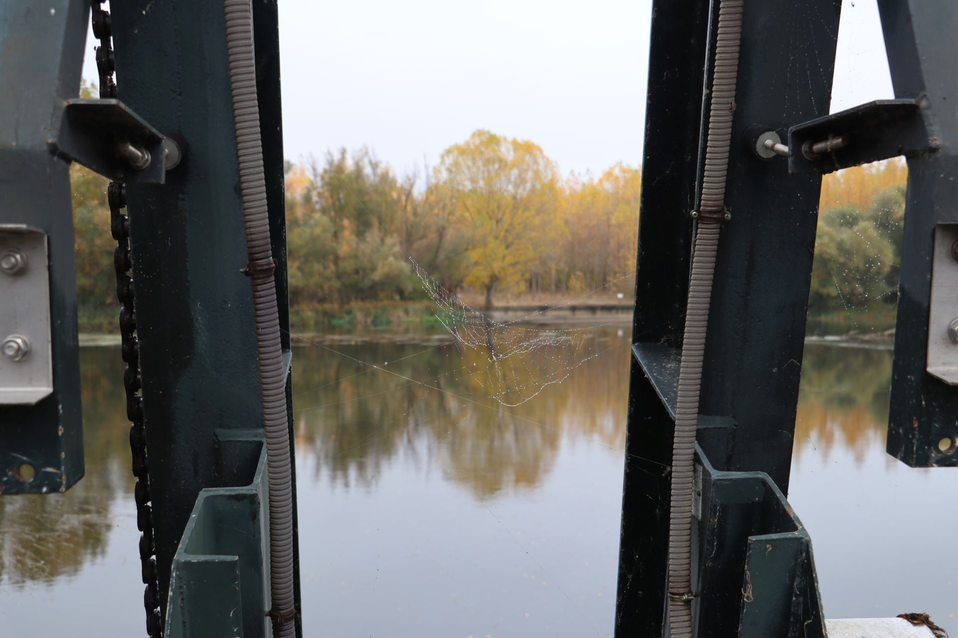Las imágenes del &#039;nacimiento&#039; del Canal del Páramo Bajo en León