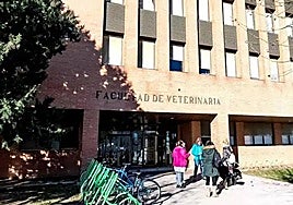 Facultad de Veterinaria de León.