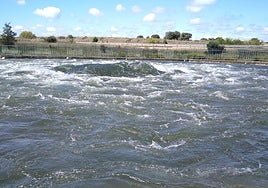 El agua emana para iniciar su camino por el Canal del Páramo Bajo con la A-66 al fondo.