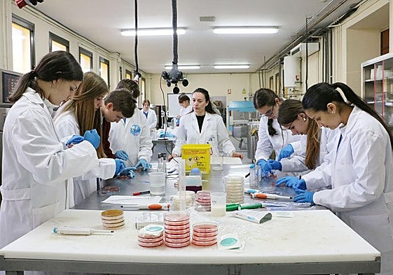 Una actividad de la Semana de la Ciencia 2025.