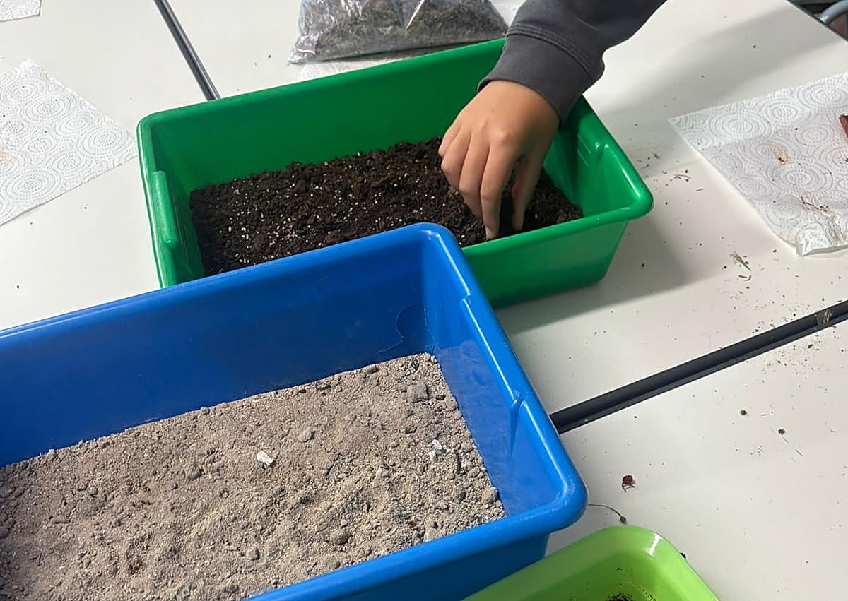 Imagen secundaria 1 - El innovador proyecto de un colegio para reforestar León tras incendios