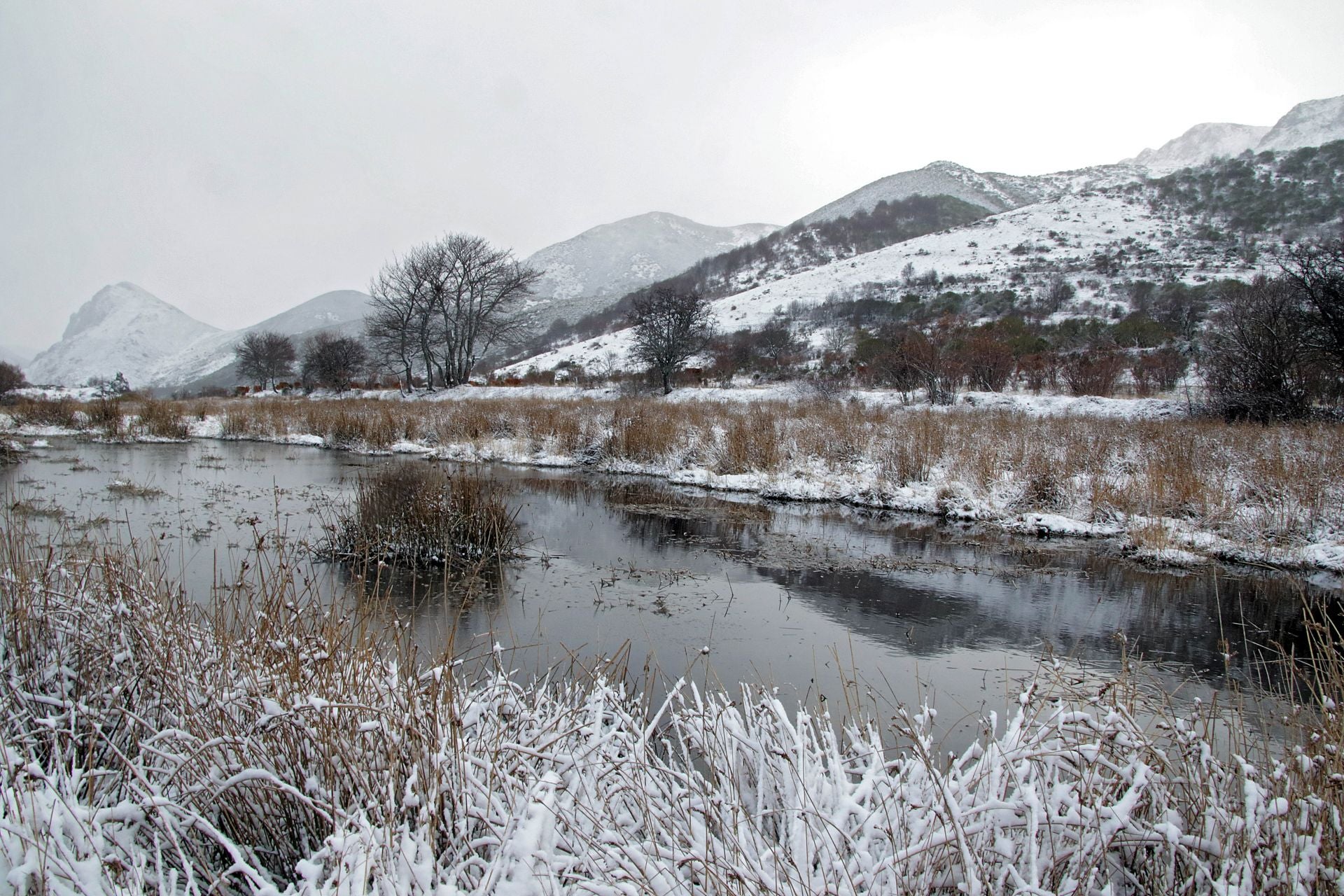 Las imágenes de la nieve en la montaña de León