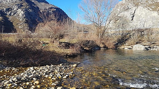 La Diputación saca a licitación el acondicionamiento de las márgenes del Esla y del arroyo Mirva en Burón
