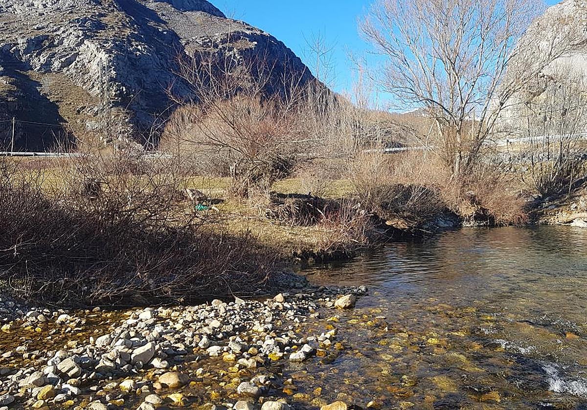 La Diputación saca a licitación el acondicionamiento de las márgenes del Esla y del arroyo Mirva en Burón