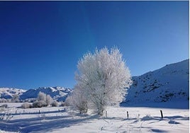 Paraje de Prado Veneiro, en León.