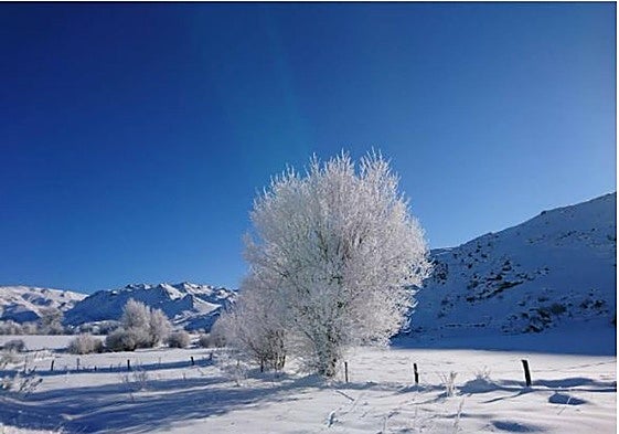 Paraje de Prado Veneiro, en León.