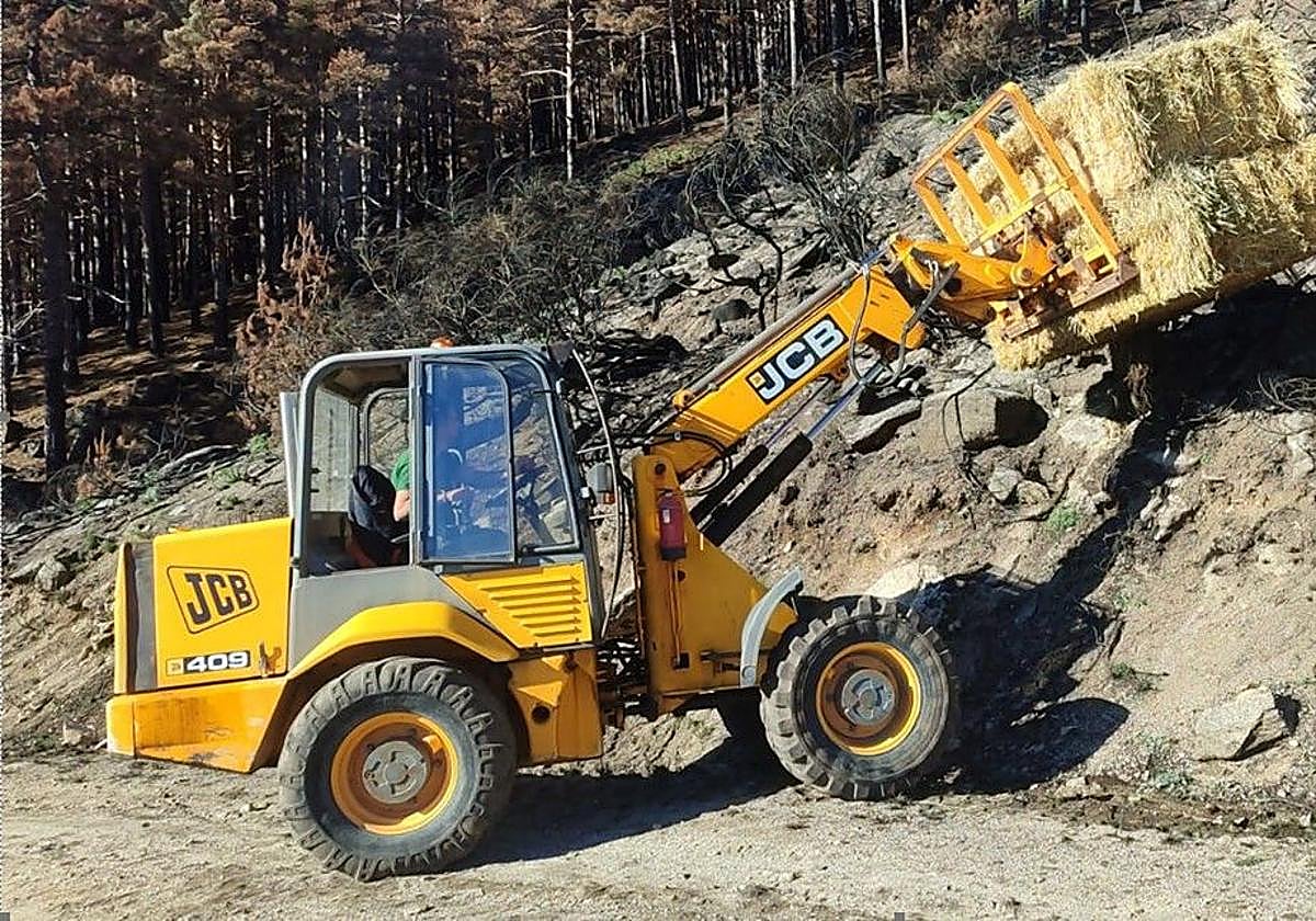 Trabajos para la recuperación de las zonas afectadas.