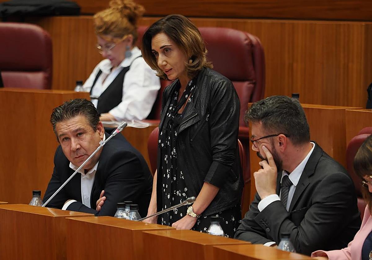 Sesión plenaria en las Cortes.