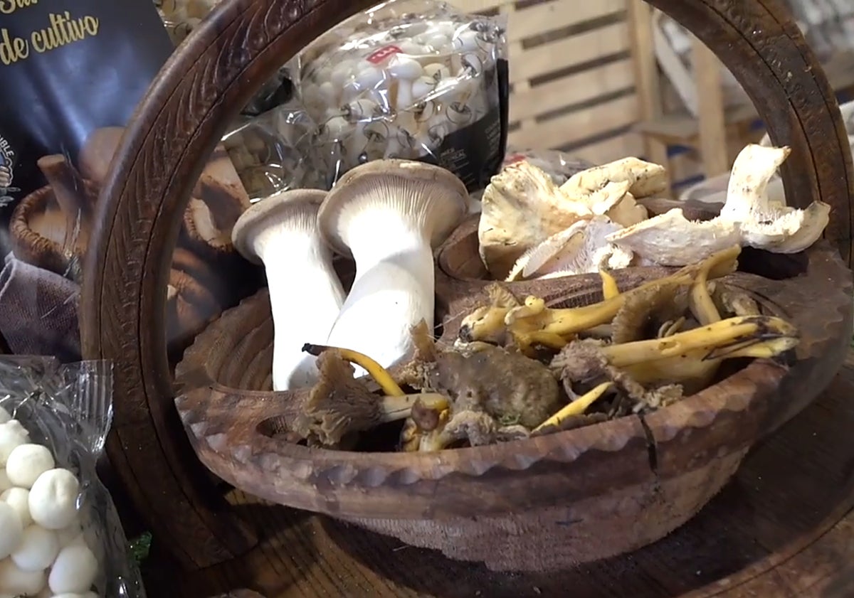 Imagen principal - Productos de nuestra tierra