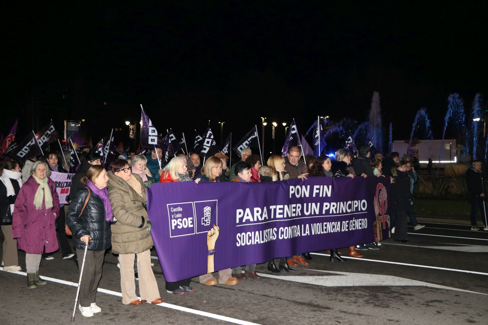 Las imágenes de la manifestación del 25N en León