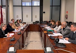 Celebración de la comisión en la sede de la Junta de Castilla y León.