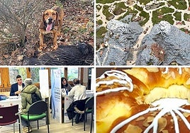 Las imágenes del día.