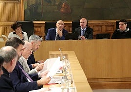 Imágenes del pleno de este noviembre.