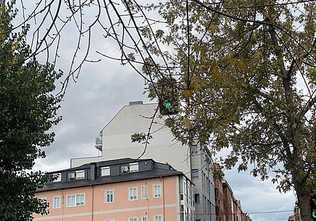 El semáforo, casi invisible tras las hojas del árbol en octubre.