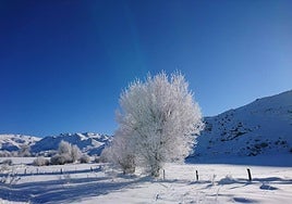 Imagen de archivo de Prado Veneiro.