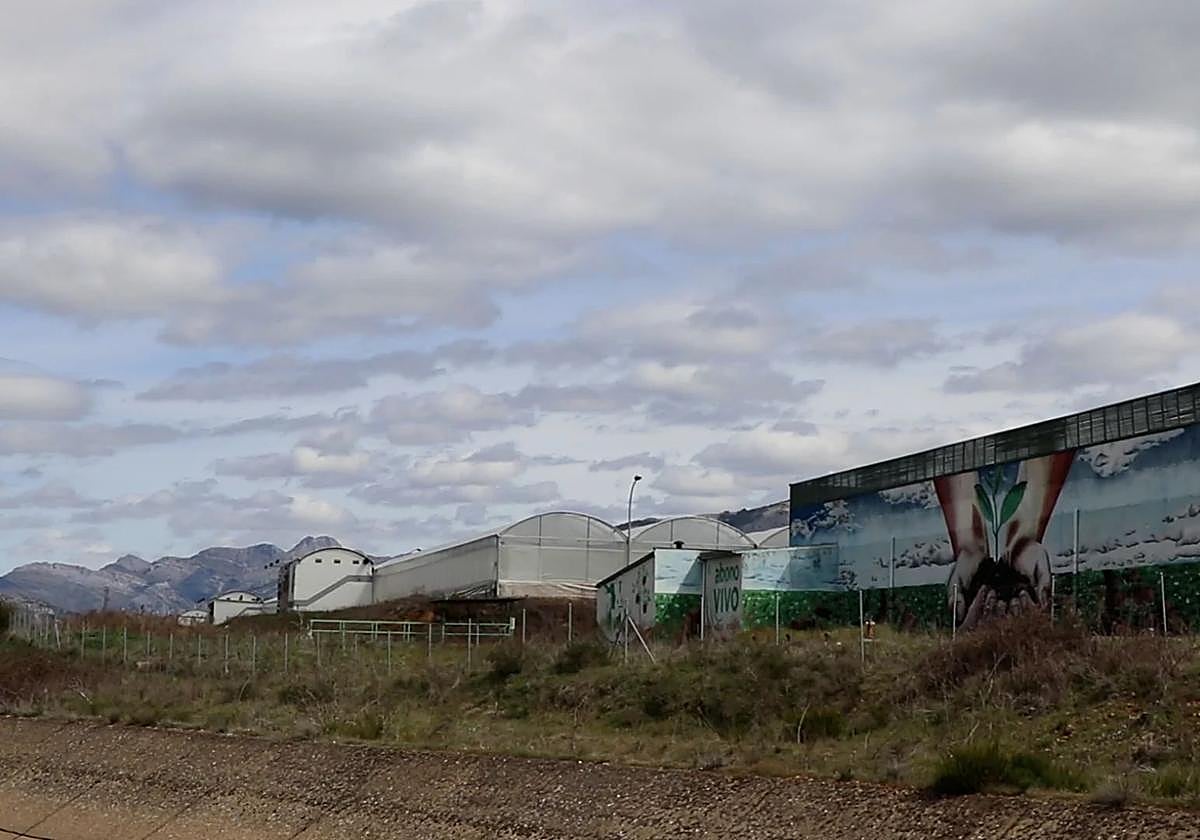 Imagen de archivo de las instalaciones de la empresa promotora en el Polígono Industrial de Vidanes.