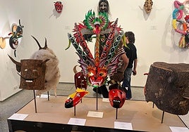 M´acaras que forman parte de la muestra.