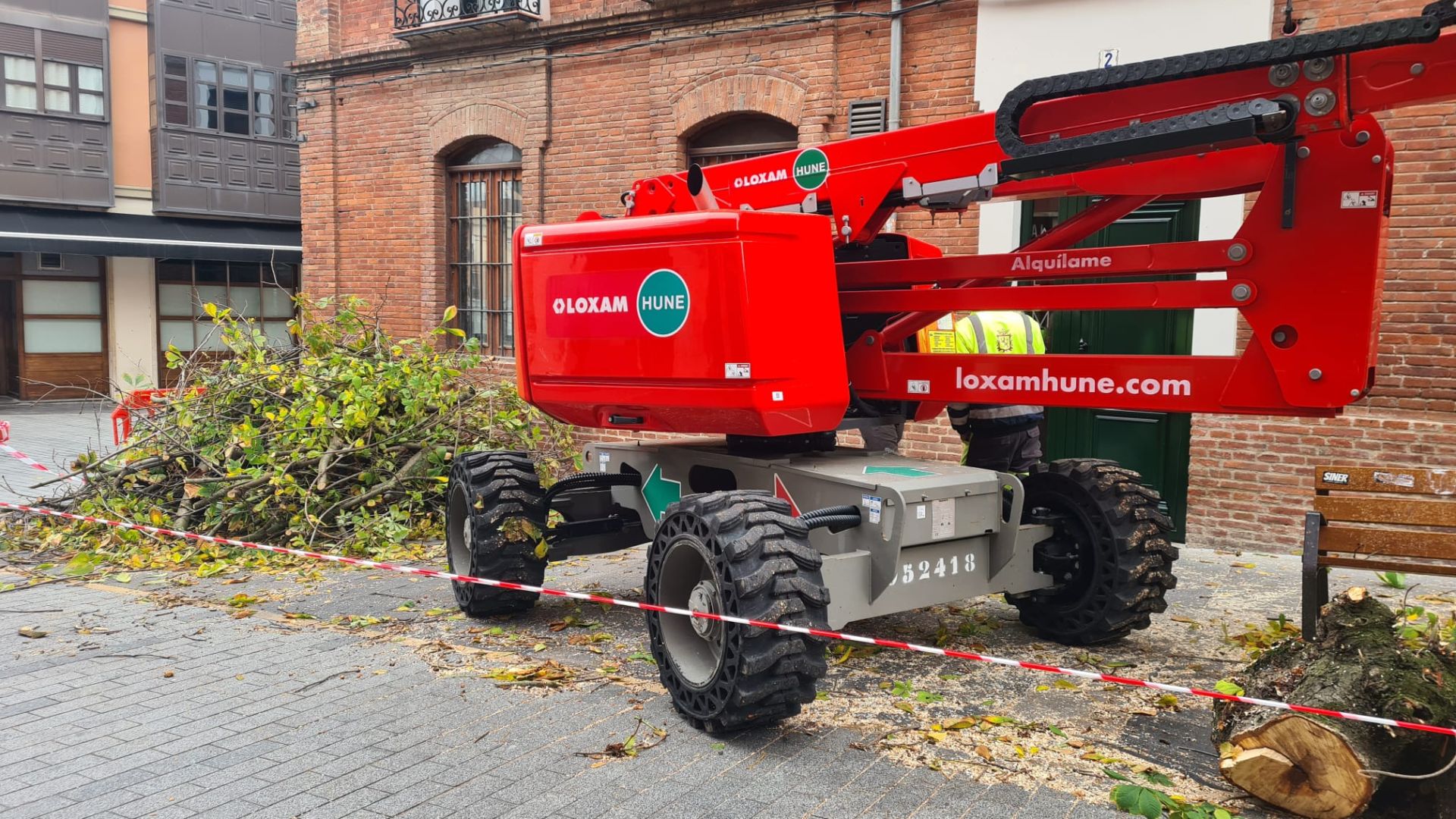 Las imágenes del último árbol talado en León