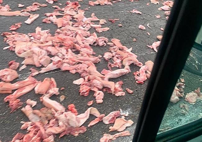 Imagen de los restos de animales en la vía.