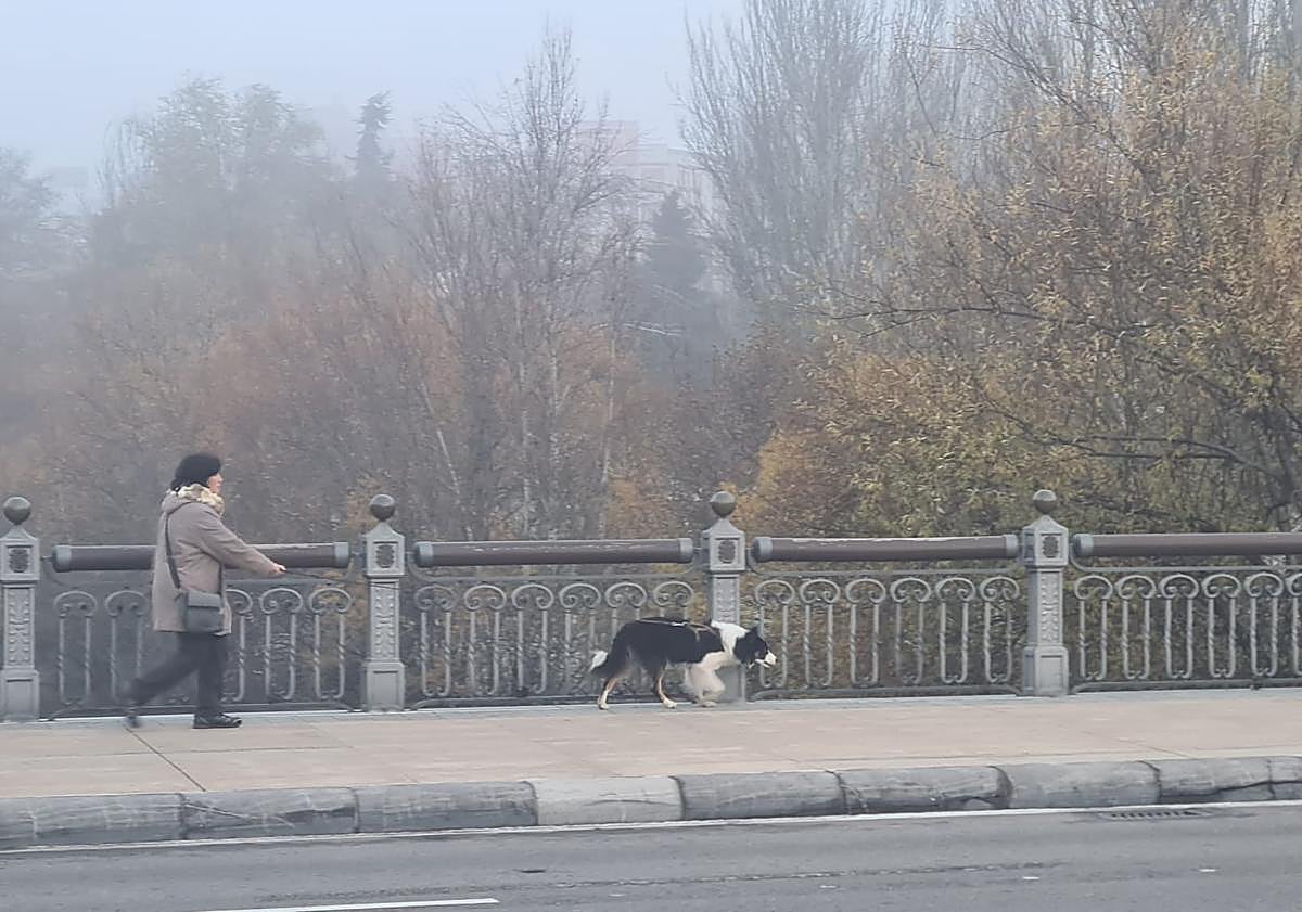 Imagen principal - León amanece bajo una espesa capa de niebla en este lunes festivo