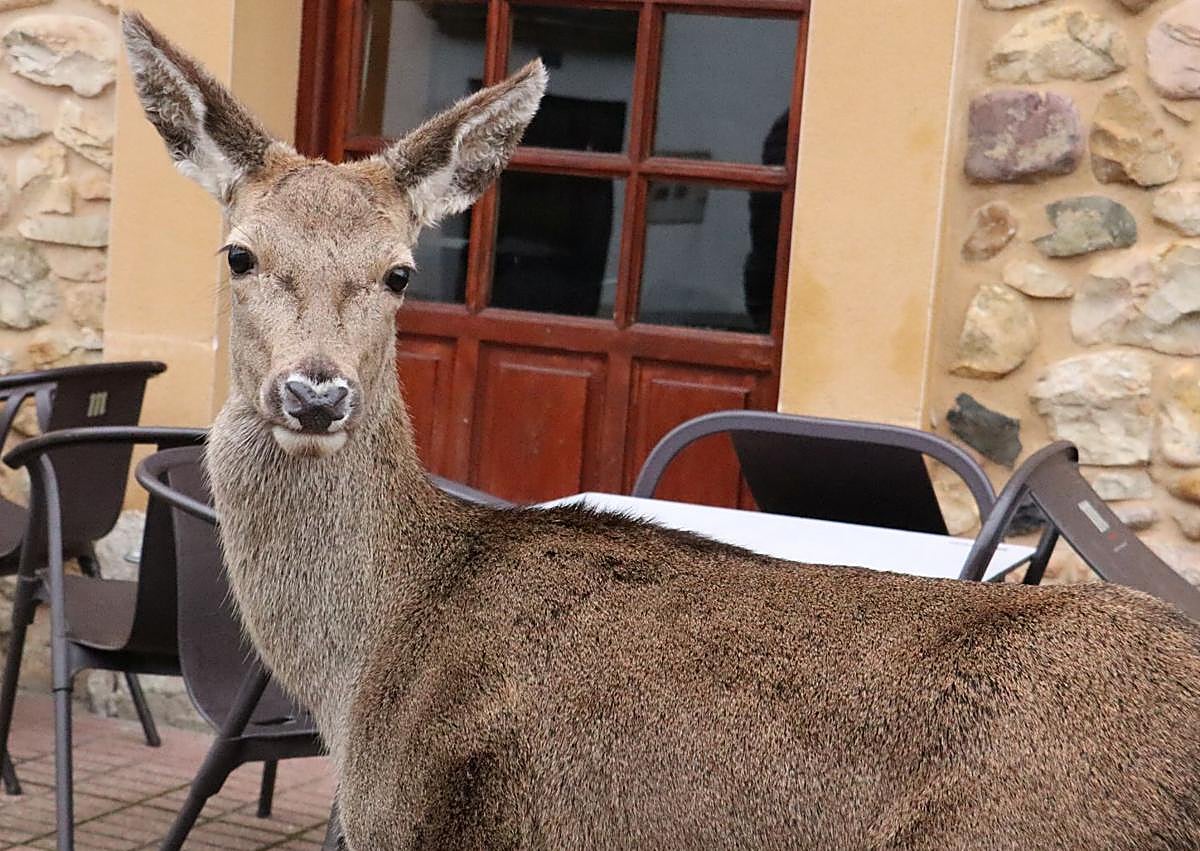 Imagen secundaria 1 - Imágenes de Pepa al lado de Javier Alonso.