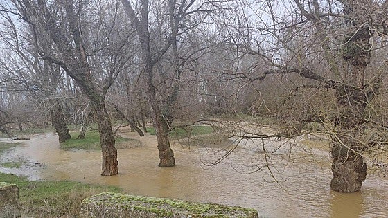 Los ríos de León, en máximos de caudal a la espera de más nieve y lluvia