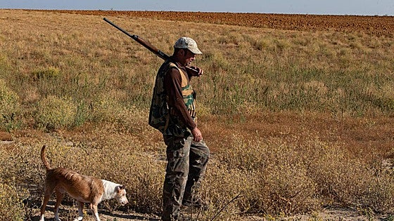 La oleada de robos de perros de caza alcanza también a la protectora de Astorga: «Entran a robar según llegan aquí»