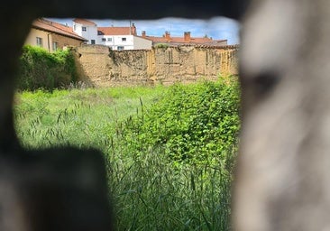 El León romano suma 20 años de olvido y vallas metálicas lo ocultan en San Pelayo