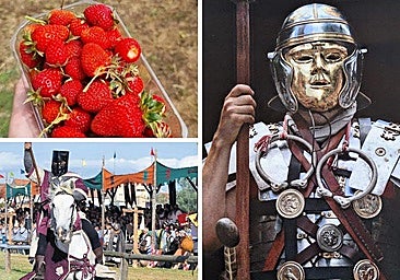 Orta Çağ Dövüşleri, Çilek Fuarı ve canichada Leon'un bu hafta sonu planları arasında