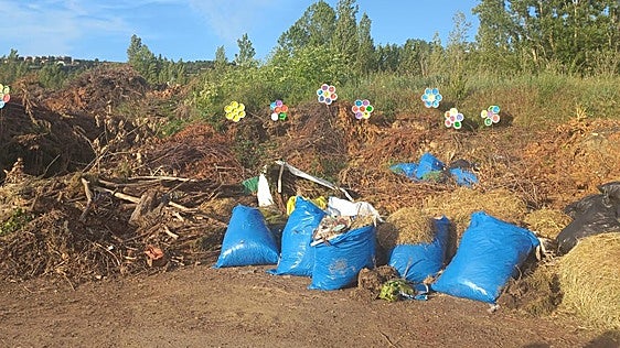 Vecinos de Carbajal de la Legua denuncian que una zona para depositar podas es ahora un «vertedero ilegal»