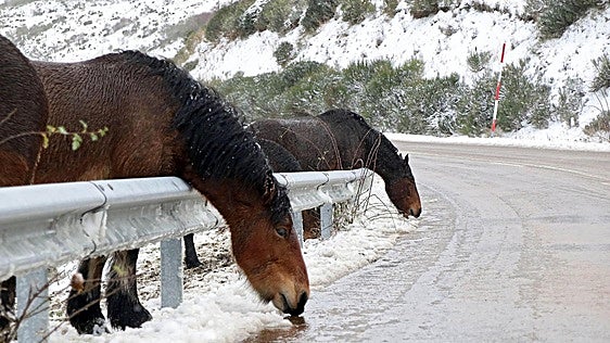 La ULE mostrará el papel de la nieve en las montañas de León en un Congreso de Geografía