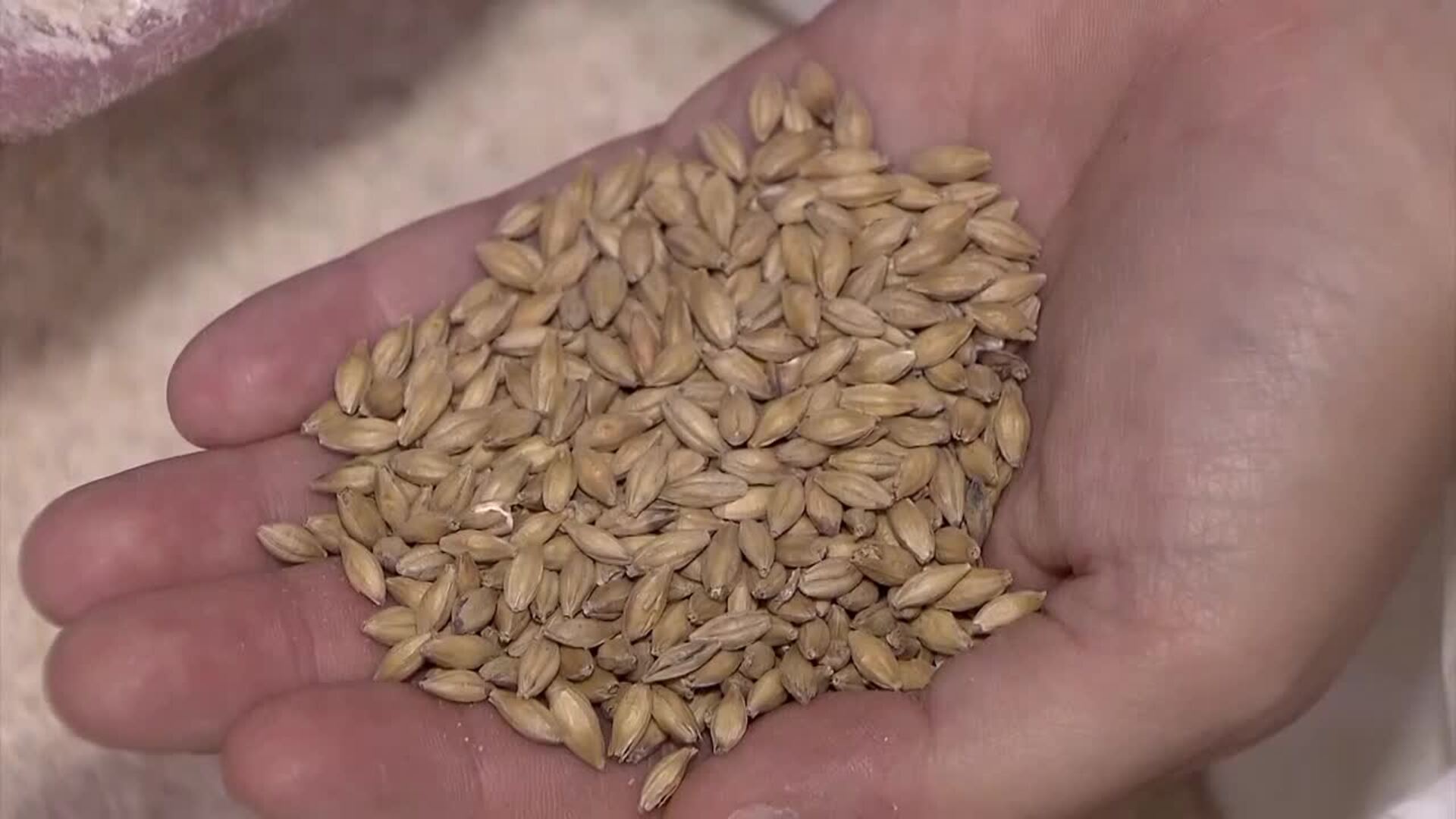 La cerveza española incrementa exportaciones y consolida su fortaleza productiva en 2025