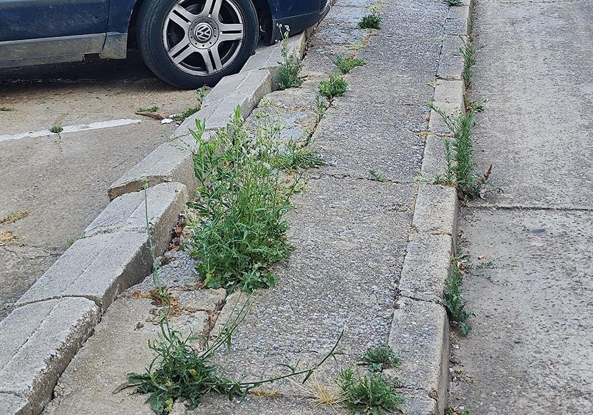 Una de las imágenes que acompaña la denuncia de la situación en Coyanza.