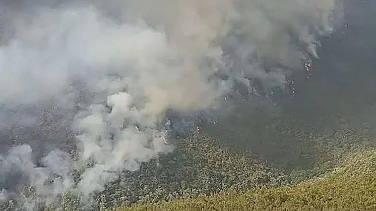 Tres incendios declarados en la provincia de León agitan un sábado de calor extremo