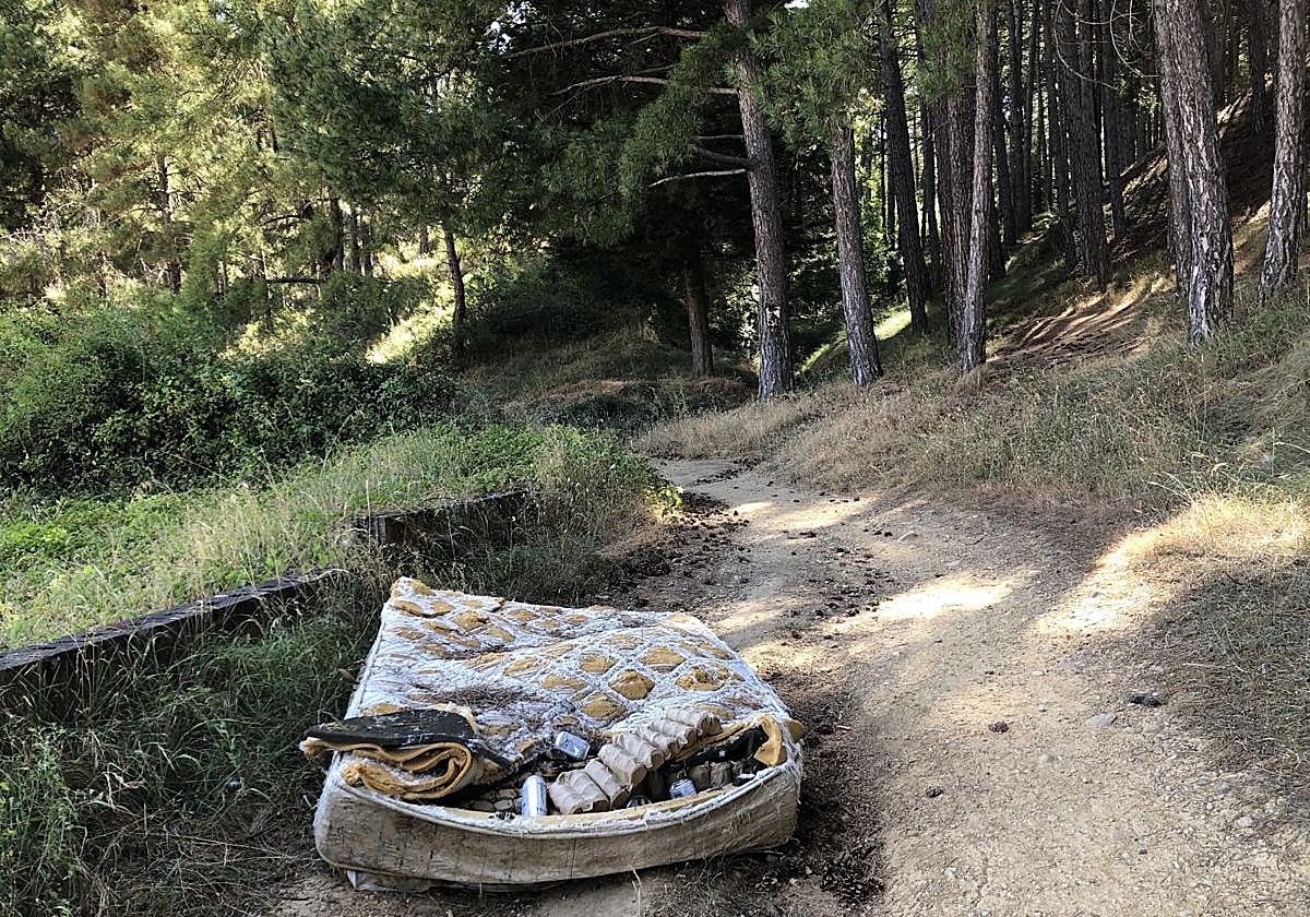 Aparecen colchones abandonados en el parque de La Candamia de León