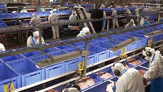 La industria agroalimentaria reduce sus exportaciones un 2,8 por ciento entre enero y mayo
