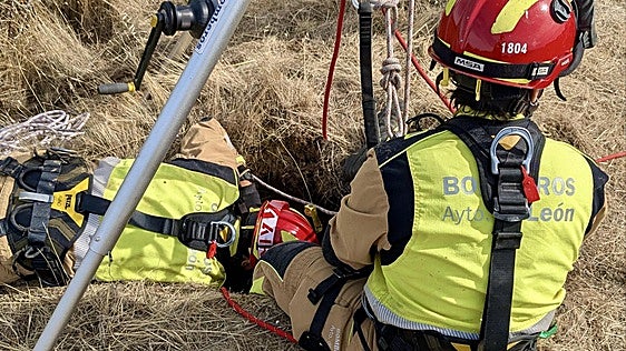 Los Bomberos de León rescatan a un perro que se cayó a una bodega en Quintana de Raneros