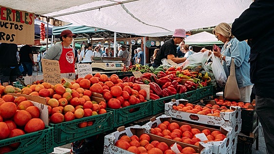 Mansilla de las Mulas rinde tributo a su producto estrella en la XXXVII Feria del Tomate