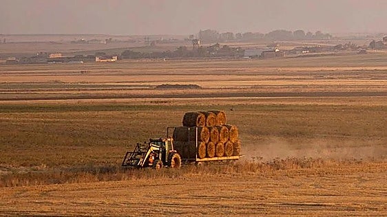 El campo de León afronta el otoño con la recolección casi acabada y poca actividad de siembra