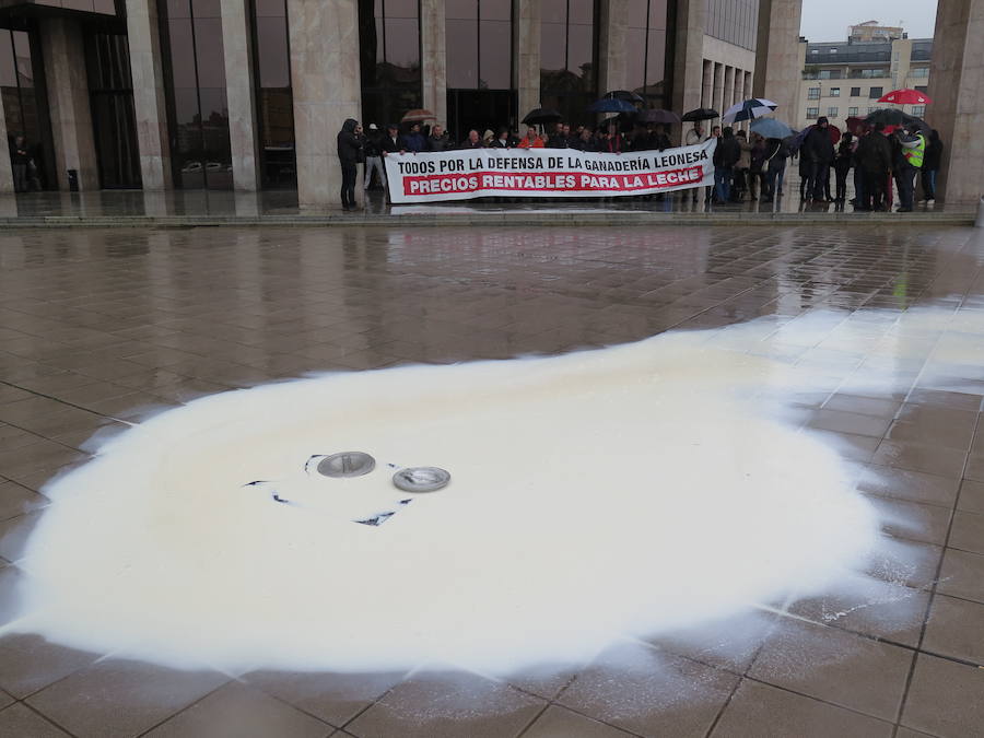 La leche vuelve a derramarse ante la Junta